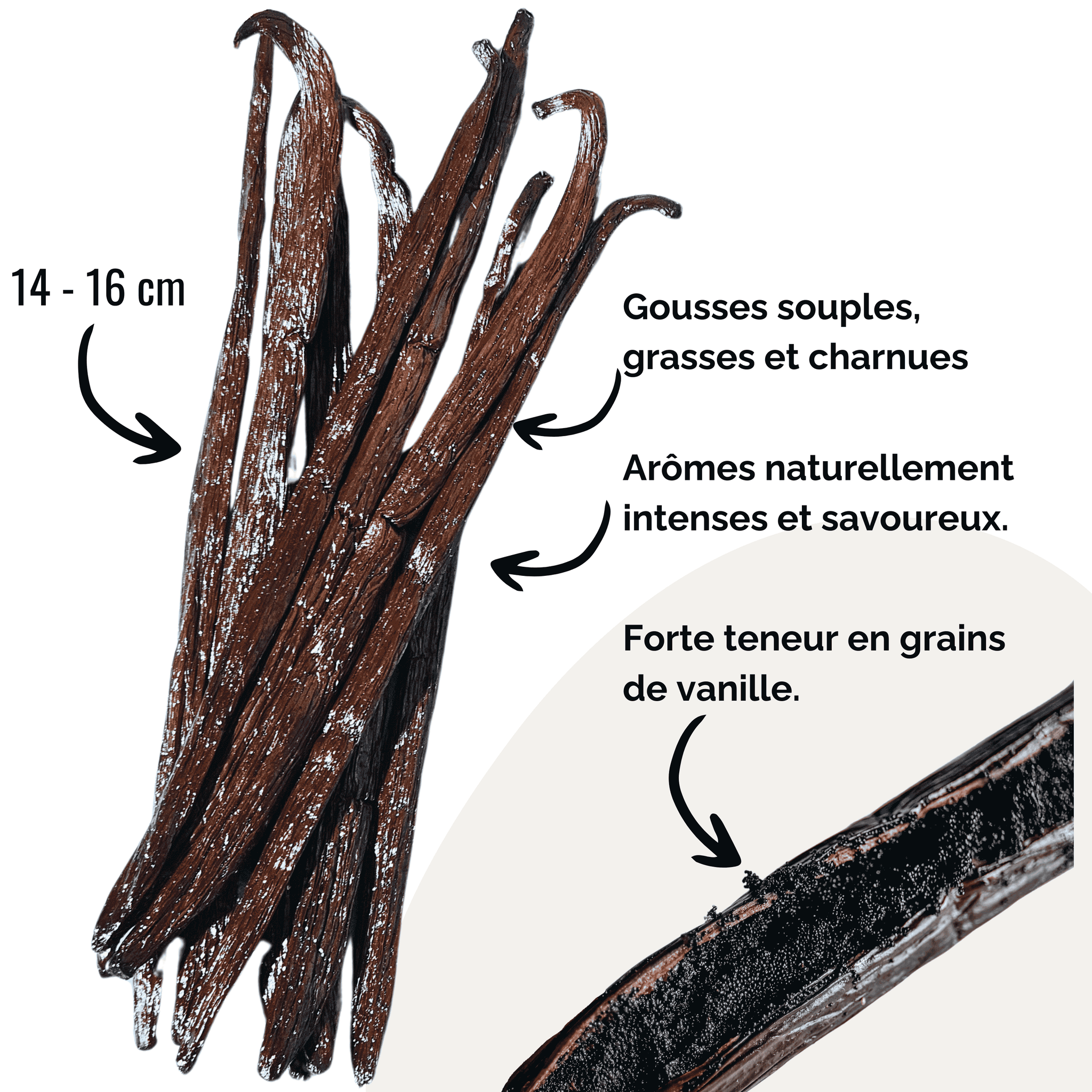 25 Vanilleschoten Grand Cru • Vanillen von Extra Gourmet Qualität • Weiche und Fleischige Schote • Ideal für Backwaren und Küche • Wiederverschließbarer Beutel - Langzeitlagerung • Prestigeauswahl Vanilla Natura