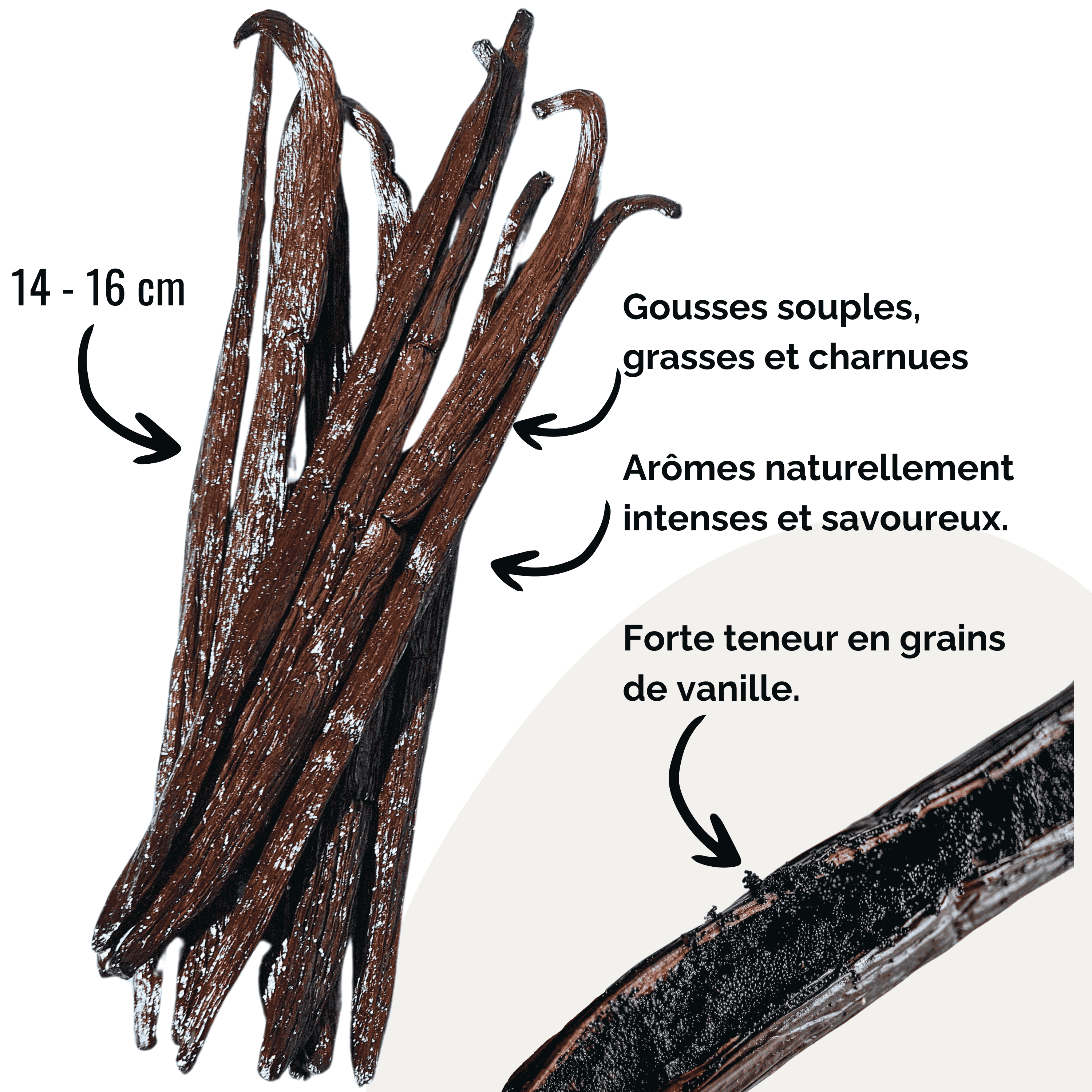 1 Kg Gousses de Vanille Grand Cru • Vanille qualité Gourmet • Gousse douce et charnue • Longue conservation • Sélection Prestige de Vanilla Natura