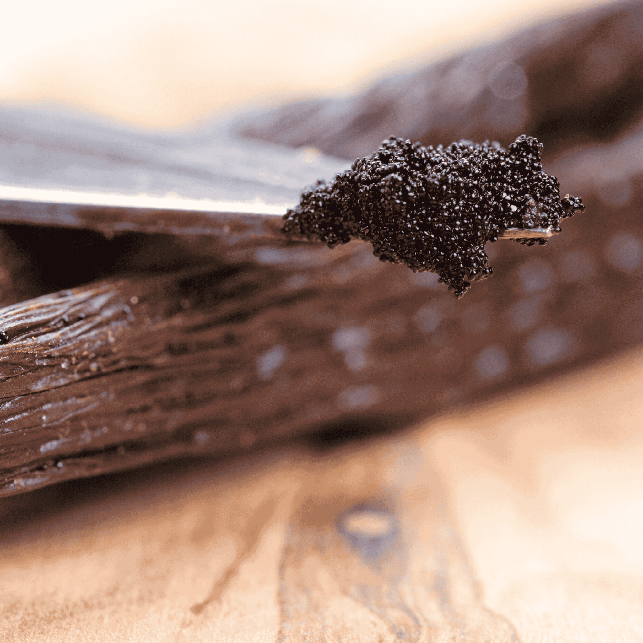 25 Vanilleschoten Grand Cru • Vanillen von Extra Gourmet Qualität • Weiche und Fleischige Schote • Ideal für Backwaren und Küche • Wiederverschließbarer Beutel - Langzeitlagerung • Prestigeauswahl Vanilla Natura