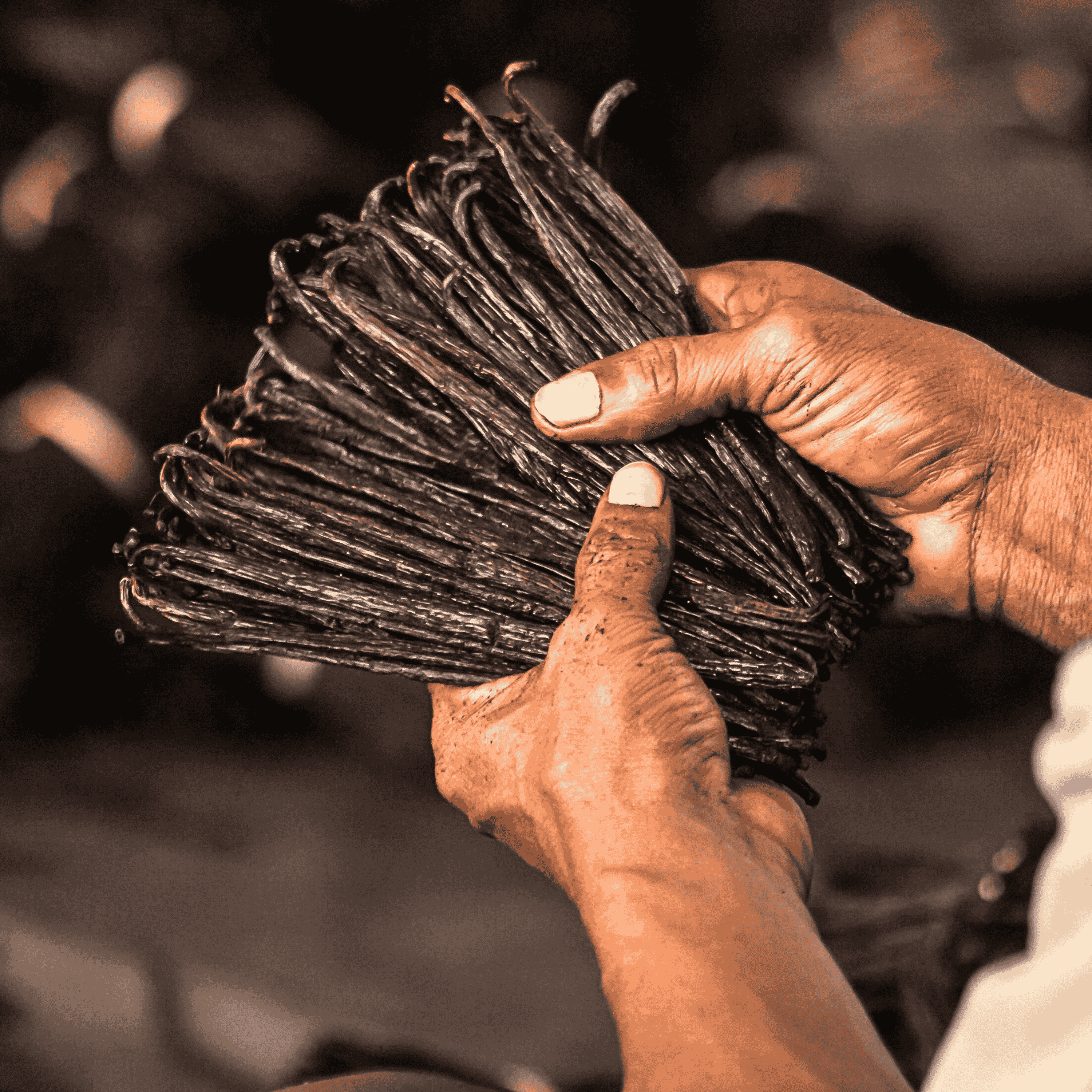 25g • Poudre de Vanille Bourbon de Madagascar 100% Gousse Broyée • Vanille en Poudre Qualité Premium • Longue Conservation • Sélection Prestige Vanilla Natura