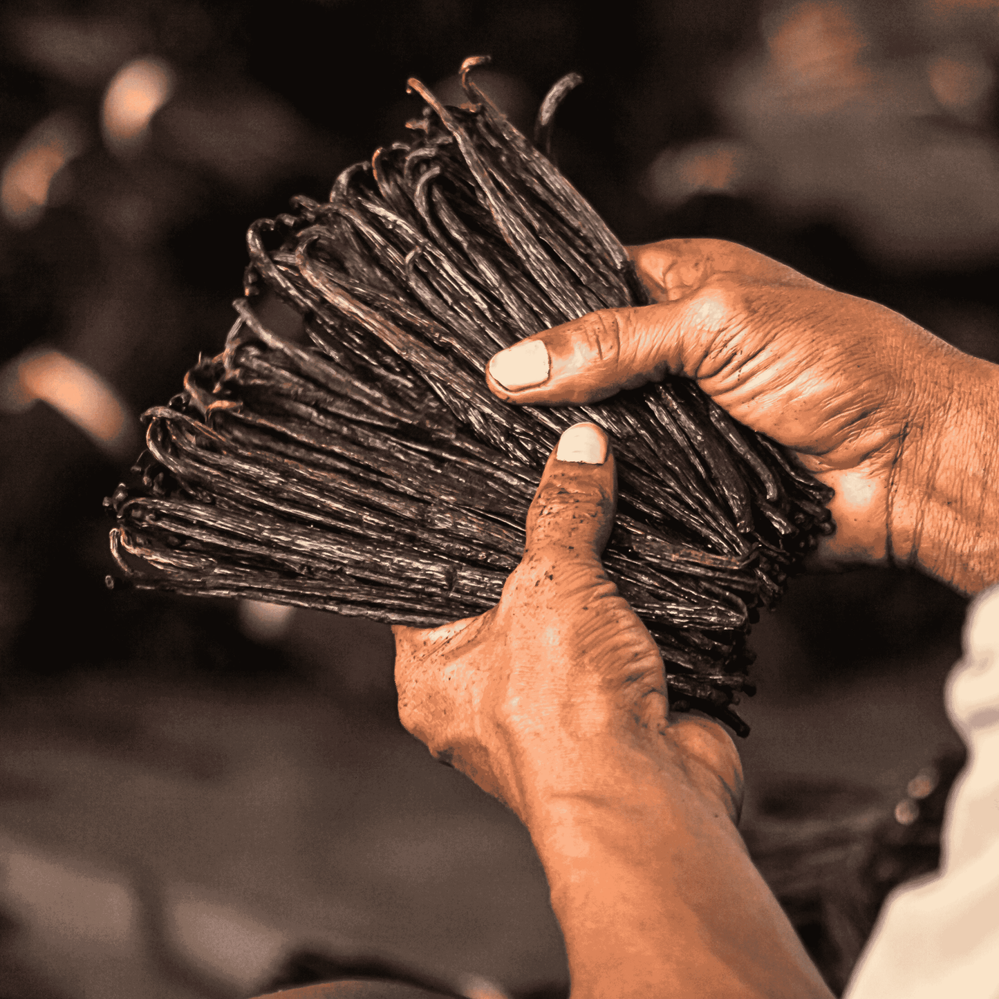 25 gousses de vanille + 25g de poudre de vanille Bourbon de Madagascar 100% gousse moulue • Vanilles en poudre de qualité premium • Longue durée de conservation • Gousse Sélection Prestige de Vanilla Natura